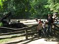 Zoo Cottbus 088